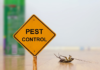 5 Benefits of Pest Control and Why You Can’t Ignore This